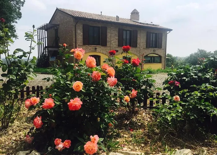 Il Colle Del Falco Lantgård *