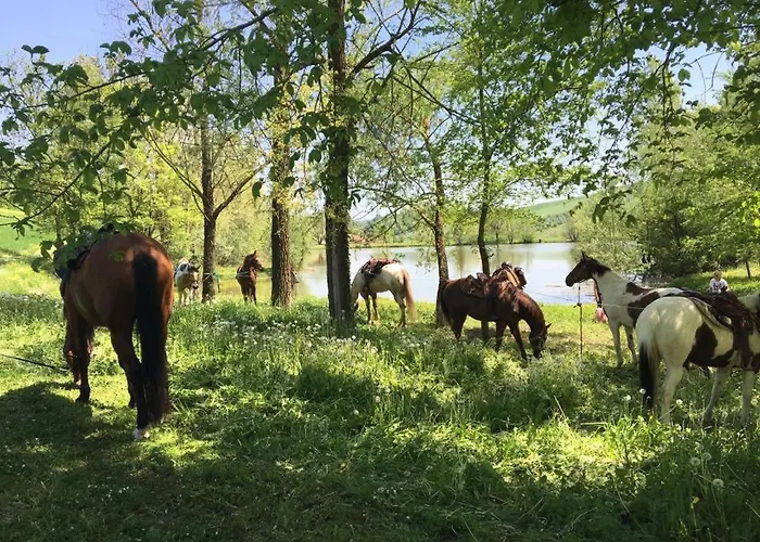 Il Colle Del Falco Lantgård