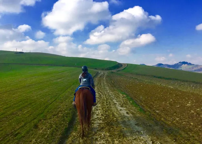 Il Colle Del Falco * Borghetto (Parma)