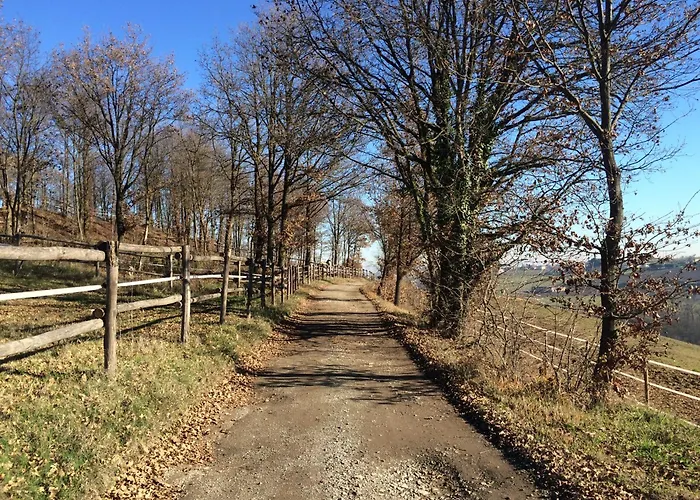 Il Colle Del Falco Lantgård