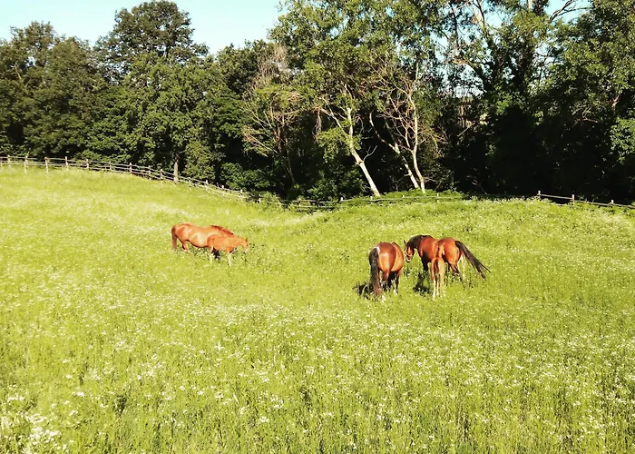 Il Colle Del Falco *