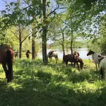 Il Colle Del Falco Farmház