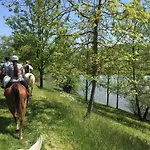 Il Colle Del Falco * Borghetto (Parma)