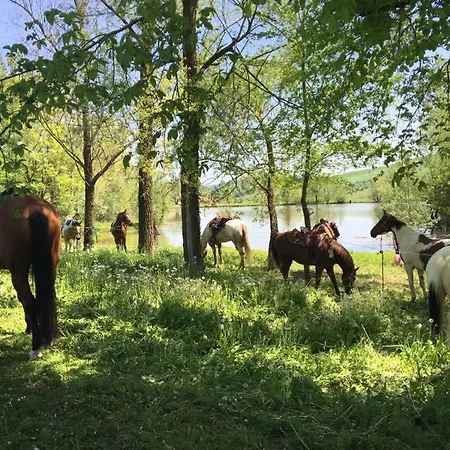 Il Colle Del Falco Alojamento de Turismo Rural