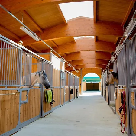 Il Colle Del Falco Çiftlik konaklama