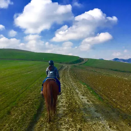 Il Colle Del Falco * Borghetto (Parma)