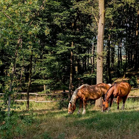 Il Colle Del Falco *