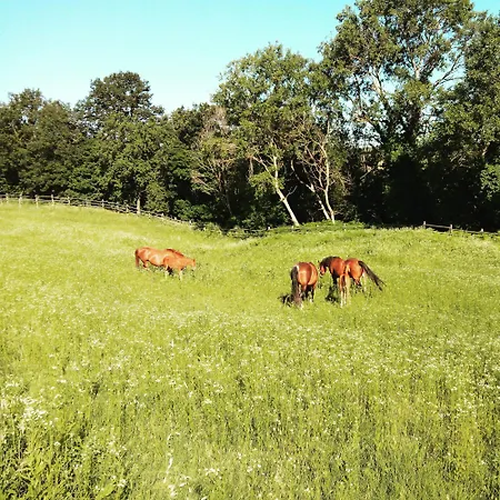 Il Colle Del Falco *