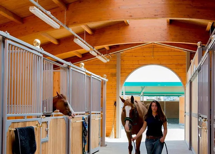 Il Colle Del Falco Çiftlik konaklama *