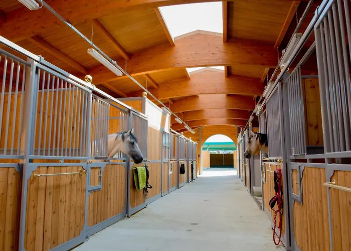 Il Colle Del Falco Çiftlik konaklama