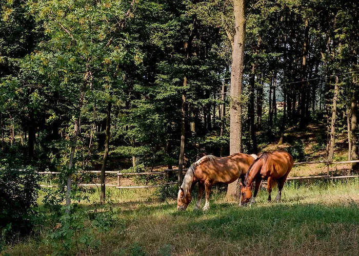 Il Colle Del Falco *