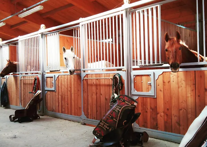 Çiftlik konaklama Il Colle Del Falco *